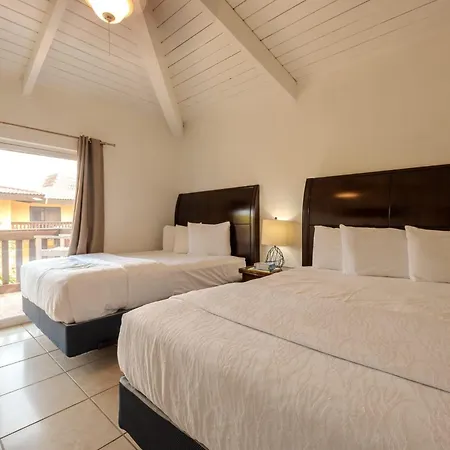 Apartamento Spoonbills Sanctuary Coastal Chic 1Br Retreat 329 South Padre Island Exterior foto