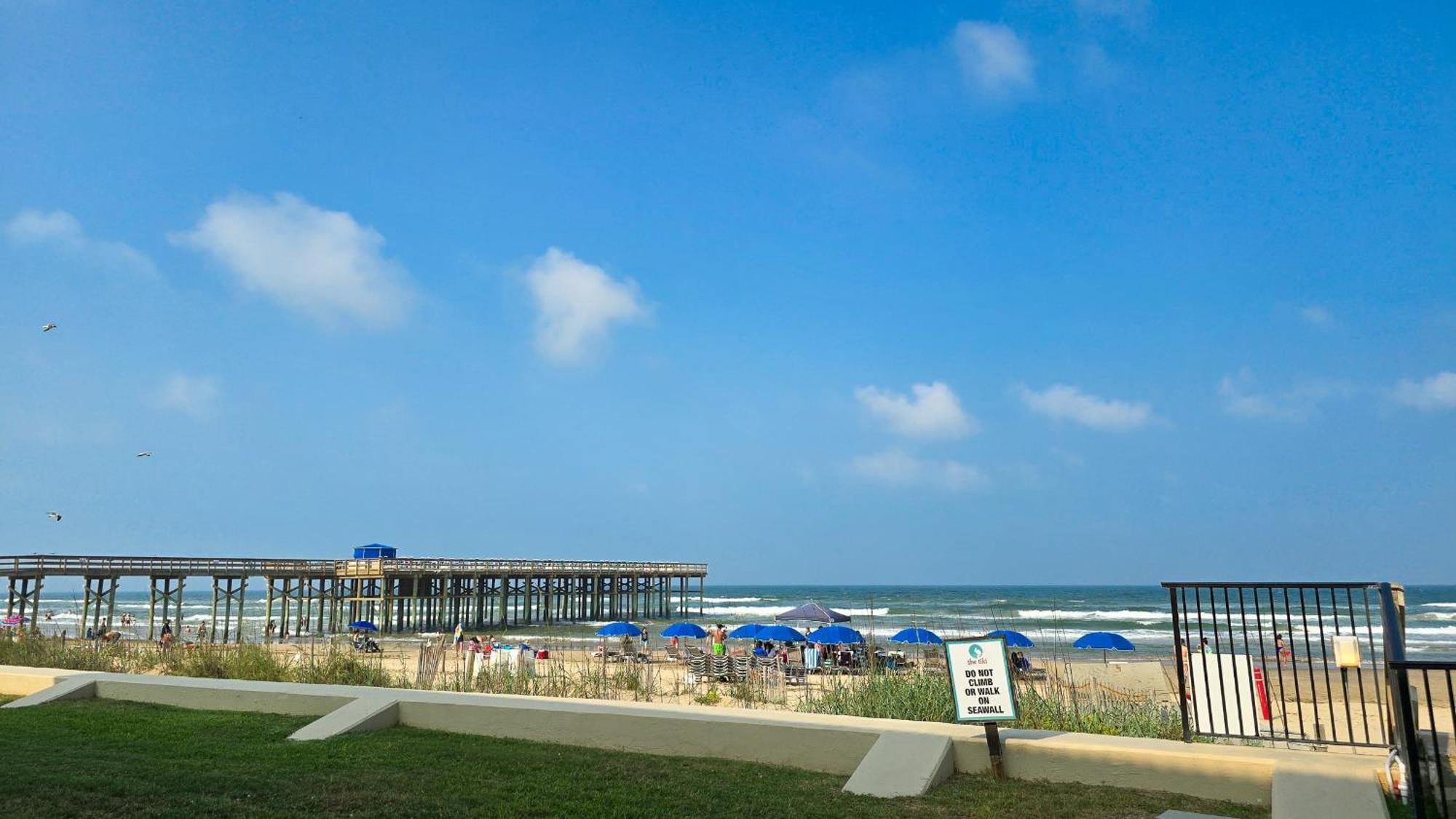 Apartment Spoonbills Sanctuary Coastal Chic 1br Retreat 329 South Padre Island