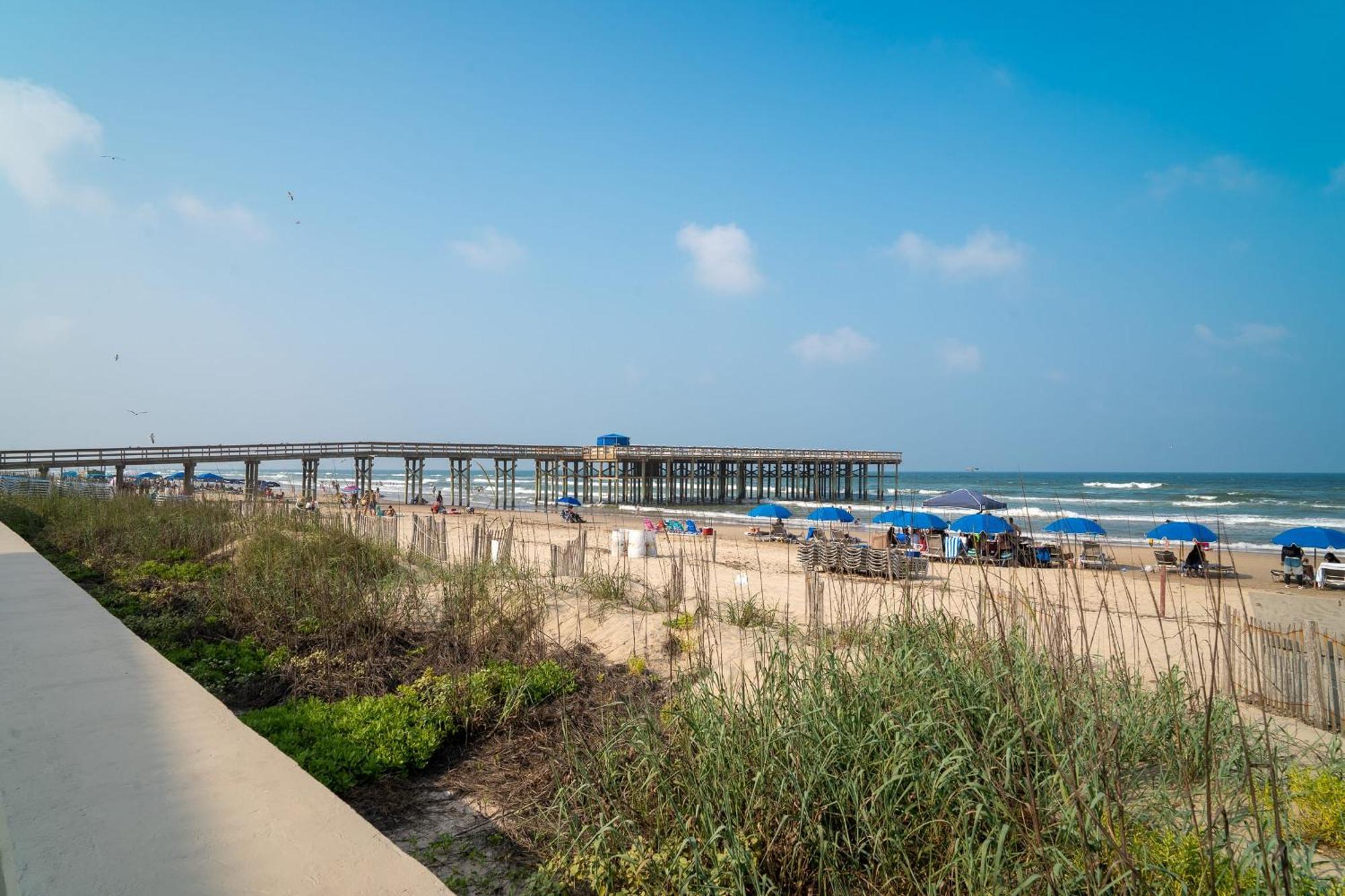 Apartment Spoonbills Sanctuary Coastal Chic 1br Retreat 329 *